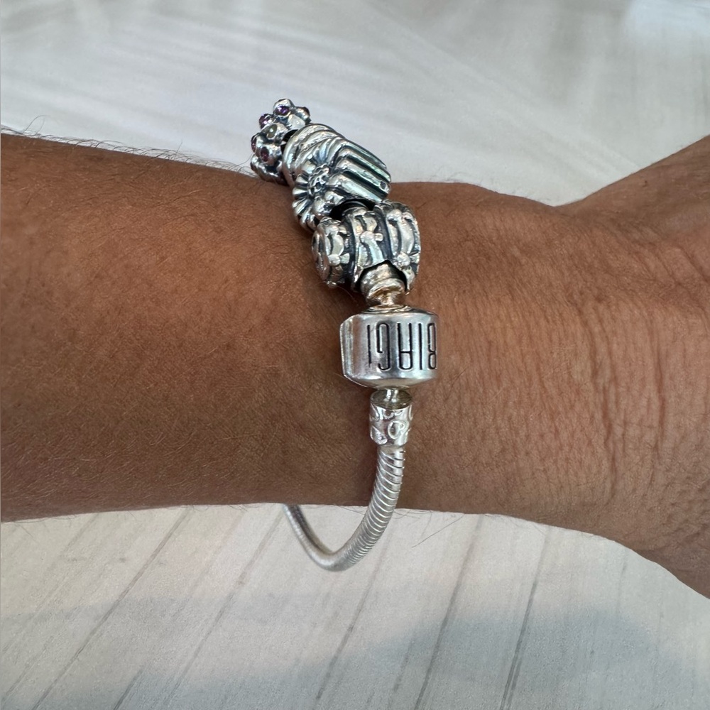 Biagi/Pandora 925 Sterling Silver Snake Bracelet with Vintage Charms - Picture 3 of 15